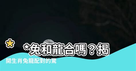 兔和龍合嗎|生肖兔和生肖龍的結婚，是「天生一對」還是「生肖六衝」？